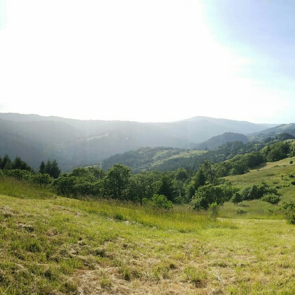 Meet your Posher, Melissa - Picture 3 of 5